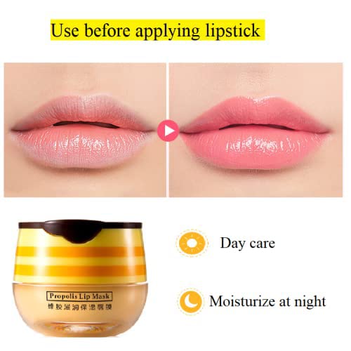 2PCS Bee Balm Honey Pot,Propolis Moisturizing Lip Mask,Hydrating & Prevention Dry and Cracked Lip Scrubs Exfoliator
