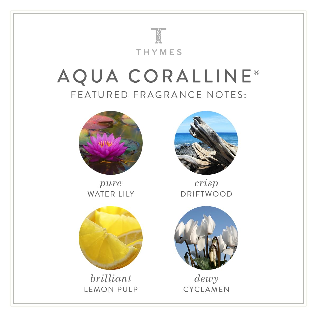 Thymes Body Lotion - 9.25 Fl Oz - Aqua Coralline