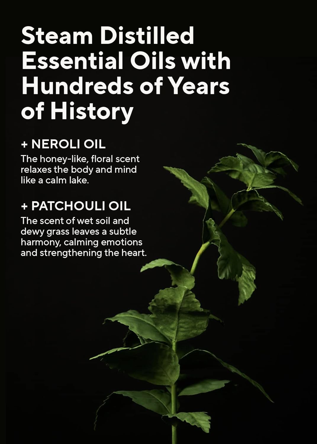 AROMATICA Embrace Body Lotion Neroli & Patchouli 10.14oz / 300ml, Vegan | Naturally-derived Aromatic Fragrance | Soothing & Moisturizing Body Lotion