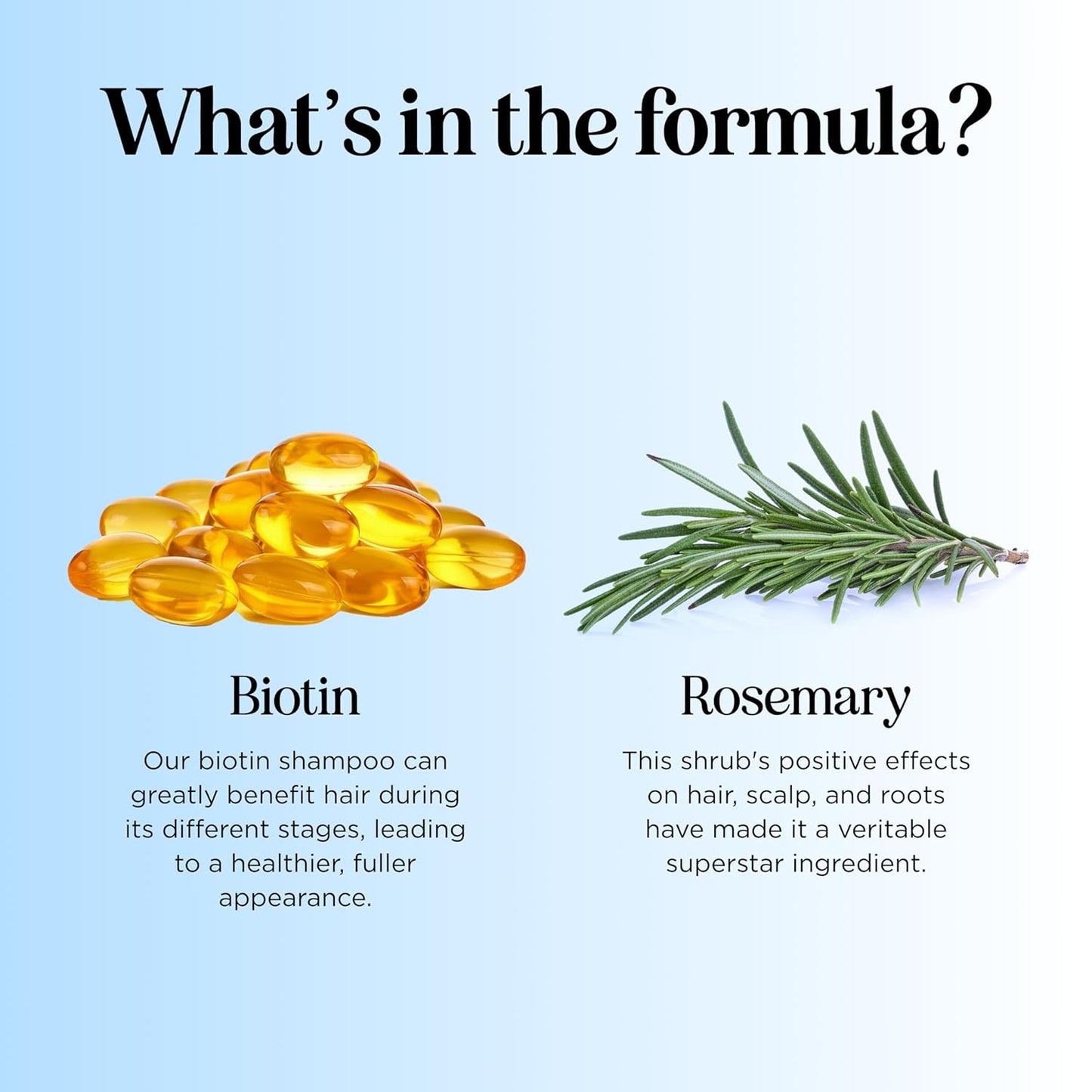 Rosemary and Biotin Shampoo for Thinning Hair - Vegan Volumizing Shampoo for Fine Hair with B Vitamins Argan Oil & Tea Tree Essential Oil - Paraben Silicone and Sulfate Free Vegan Formula (25 Fl Oz)