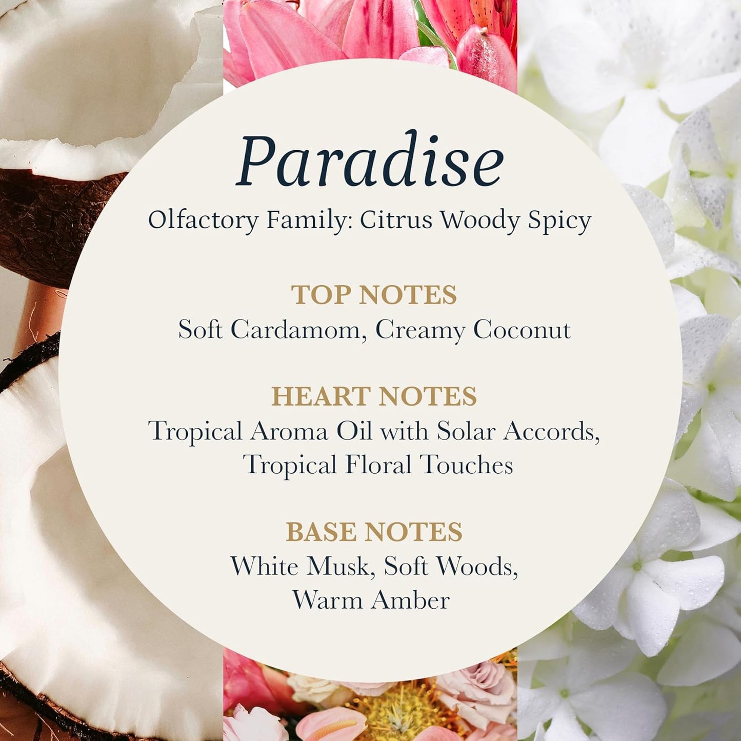 PuroSentido Paradise Tropical Aroma Oil (120 ml) - Luxury Essential & Fragrance Oil for Diffusers and Humidifiers, Creamy Coconut, Floral Notes & Soft Woods Home & Hotel Scent