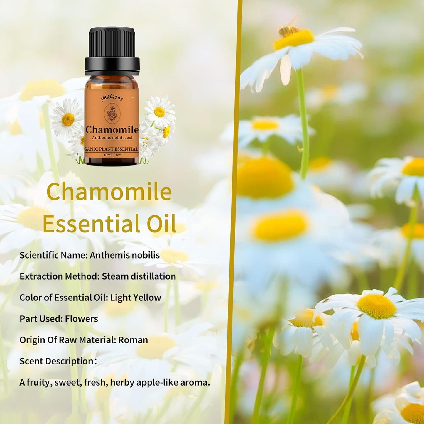 yethious Jasmine Chamomile Sandalwood Essential Oil Set Organic 100% Pure 3 Pack Chamomile Essential Oils for Aromatherapy & Diffuser
