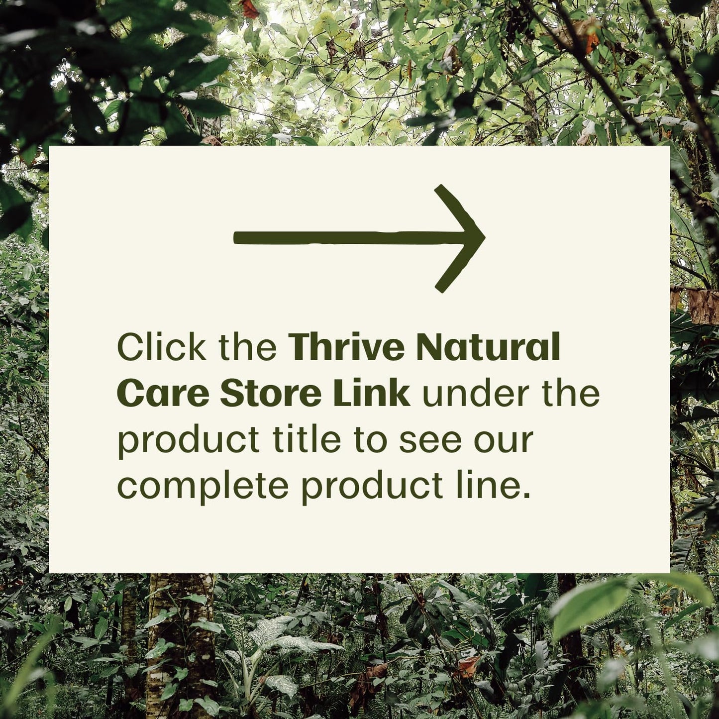 Thrive Natural Care Reef Safe Sunscreen SPF50 - Hawaii 104 Reef Act Compliant - Mineral Sunscreen Non-Nano Zinc Oxide - Vegan, (5.8 Oz (Pack of 1))