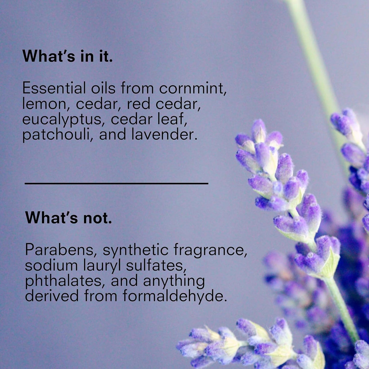 Public Goods Body & Hand Lotion for Women & Men | Natural Moisturizing Daily Lotion for Dry & Itchy Skin | Paraben & Sulfate Free | Made with Organic Essential Oils | Made in Canada | 12 Fl Oz Bottle