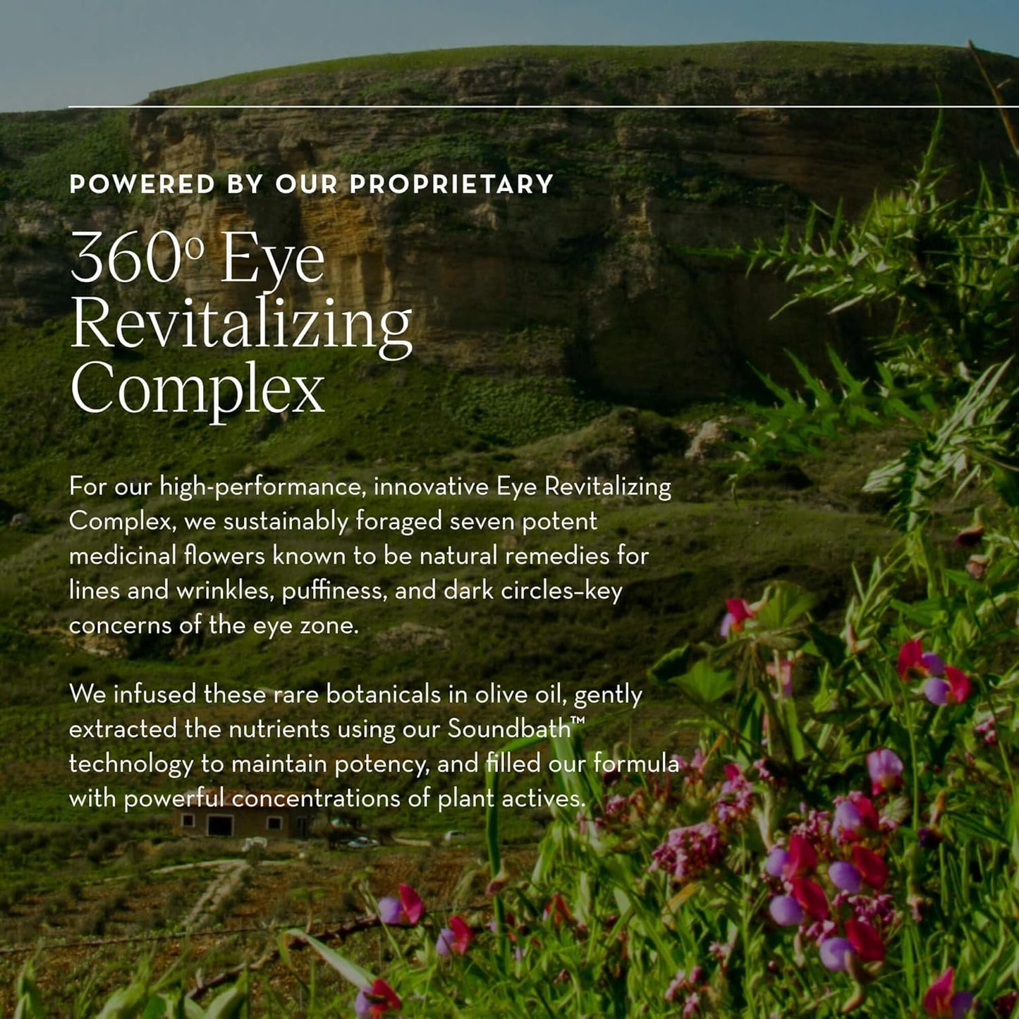 Furtuna Skin Eye Revitalizing Cream - Multi-Corrective, Helps Reduce Dark Circles and Puffiness, Wild Foraged Botanicals, Vegan, Ophthalmologist Tested