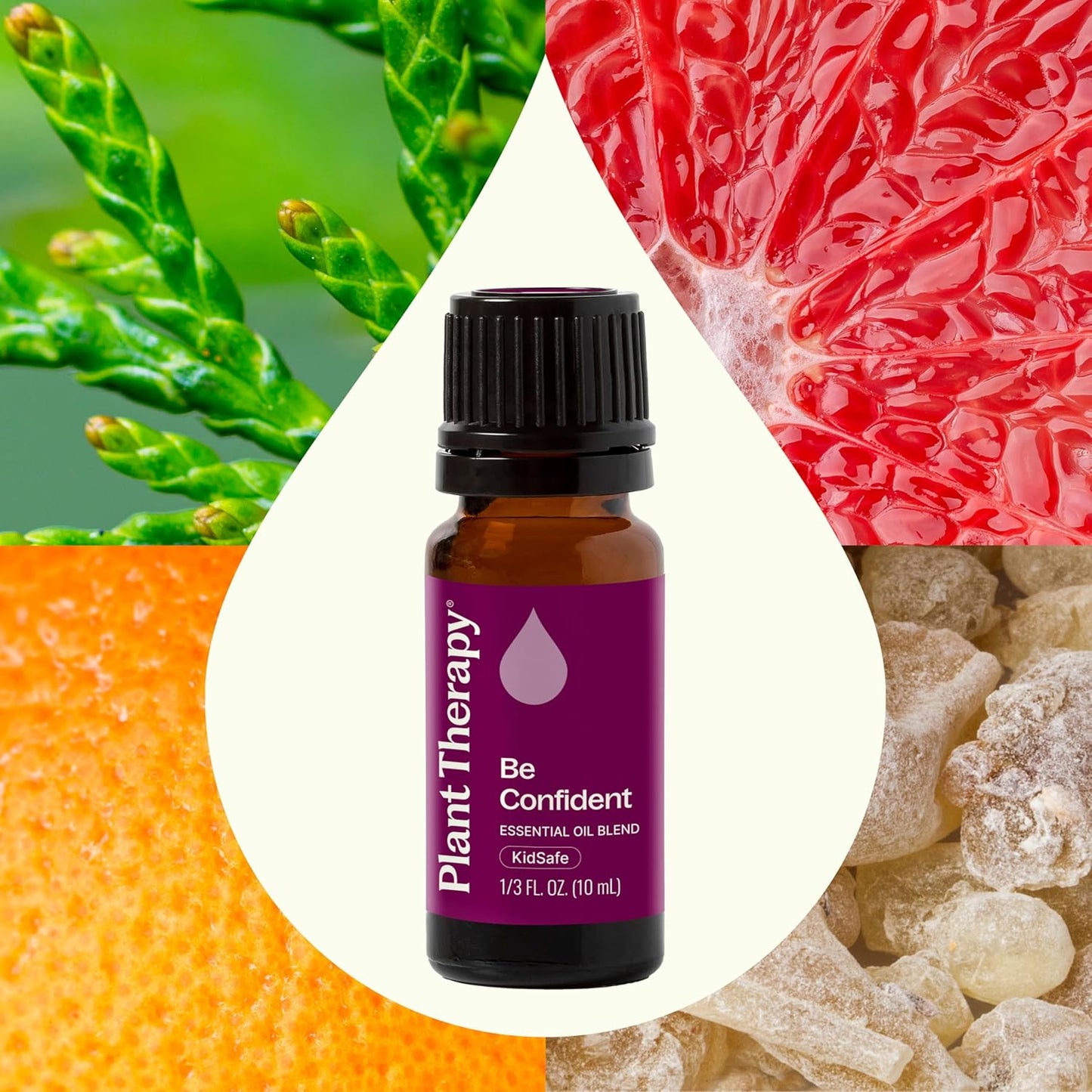 Plant Therapy Be Confident Essential Oil Blend 10 mL (1/3 oz) 100% Pure, Undiluted, Natural Aromatherapy